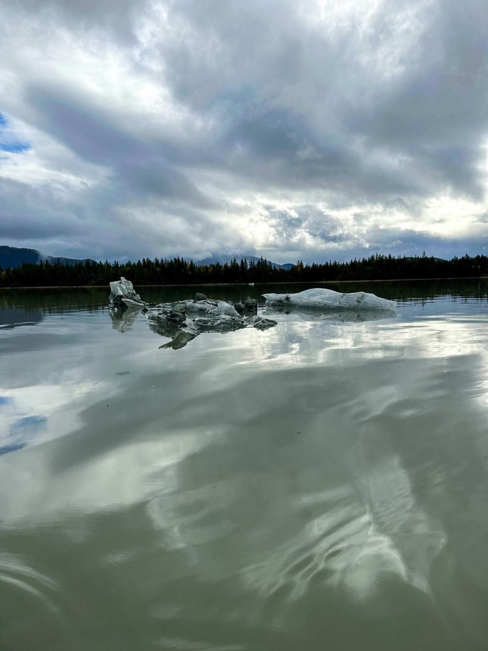 Discover the Wonders of the Mendenhall Glacier Visitor Center