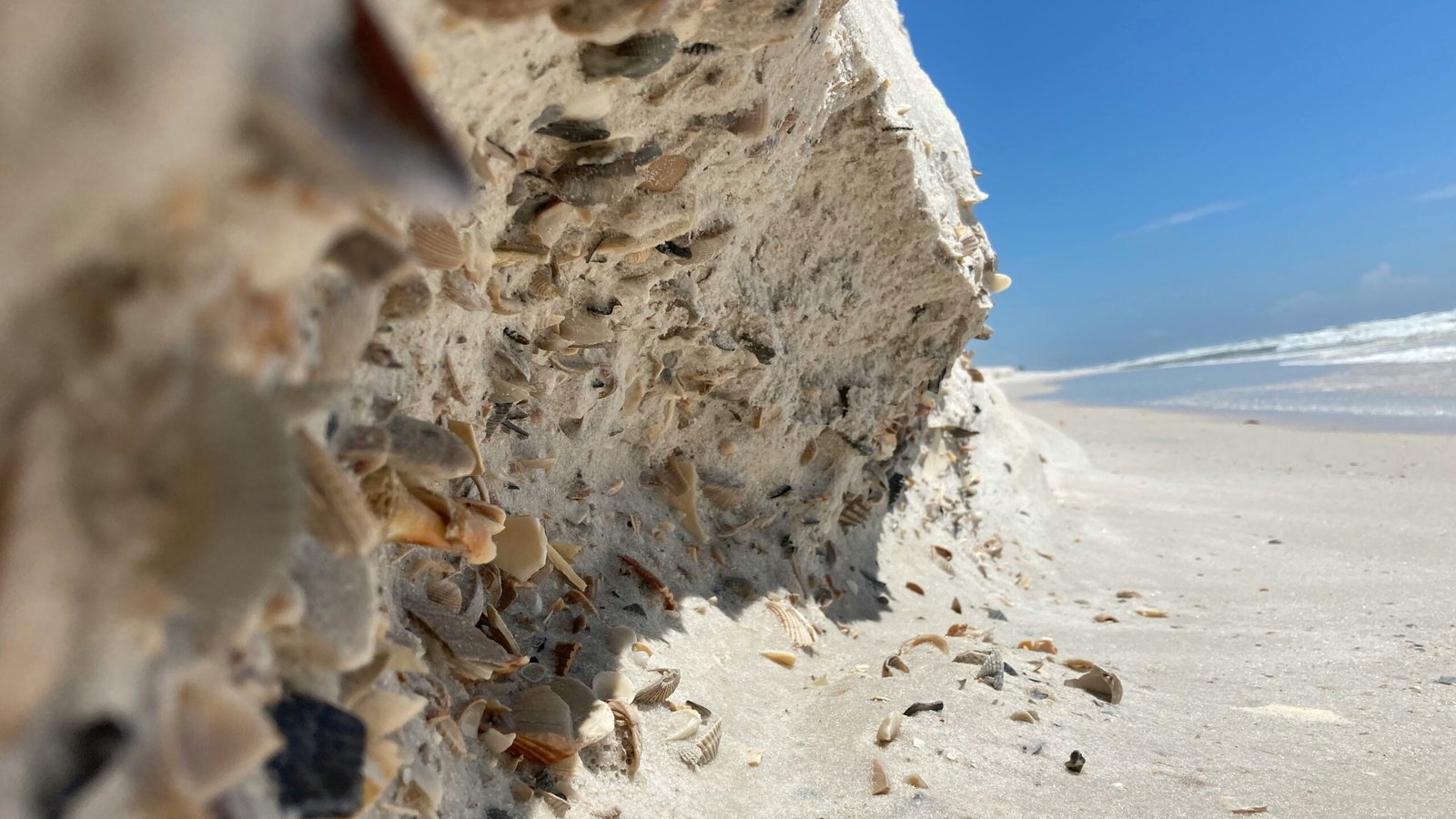 Discover the Natural Paradise of Gulf State Park on Alabama’s Gulf Coast
